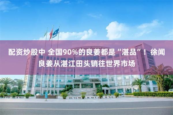 配资炒股中 全国90%的良姜都是“湛品”！徐闻良姜从湛江田头销往世界市场