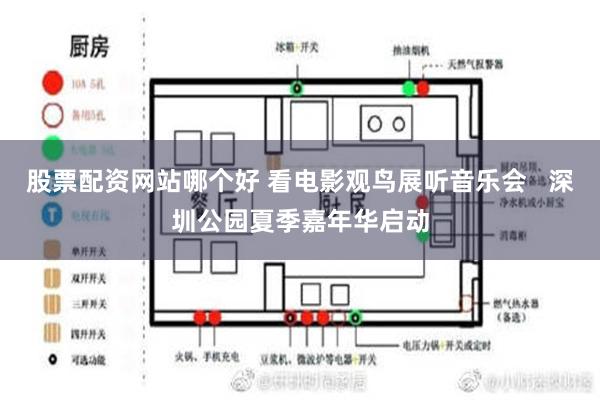 股票配资网站哪个好 看电影观鸟展听音乐会   深圳公园夏季嘉年华启动