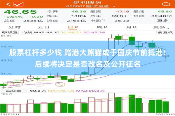 股票杠杆多少钱 赠港大熊猫或于国庆节前抵港！后续将决定是否改名及公开征名