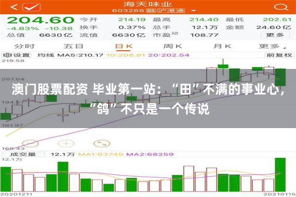 澳门股票配资 毕业第一站：“田”不满的事业心，“鸽”不只是一个传说