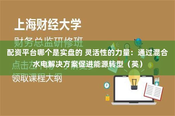 配资平台哪个是实盘的 灵活性的力量：通过混合水电解决方案促进能源转型（英）