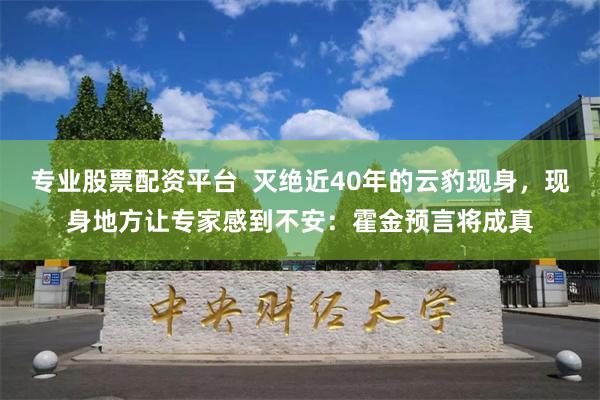 专业股票配资平台  灭绝近40年的云豹现身，现身地方让专家感到不安：霍金预言将成真