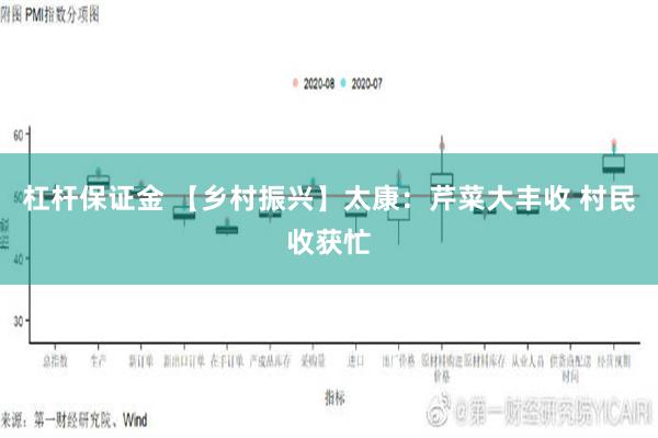 杠杆保证金 【乡村振兴】太康：芹菜大丰收 村民收获忙