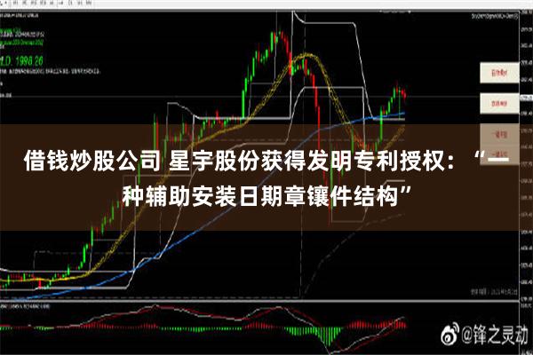 借钱炒股公司 星宇股份获得发明专利授权：“一种辅助安装日期章镶件结构”